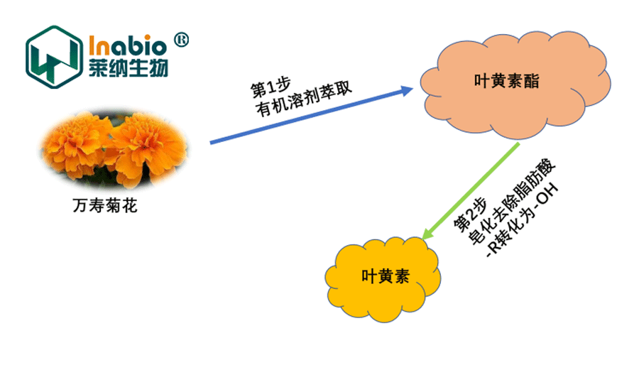 万寿菊提取物工艺流程