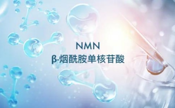 好消息！NMN 再次获受理，新食品原料和添加剂新品种受理情况公布！